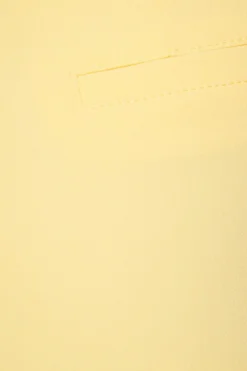 Shorts | Shorts-Dynamite Delta Pleated Tailored Shorts Yellow