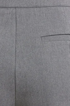 Pants | Slim Leg Pants-Dynamite Emily Tailored Slim Ankle Pants Gray