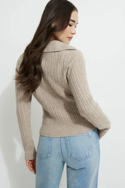 Sweaters & Cardigans | Sweaters-Dynamite Heavenlyarn™ Polo Sweater Brown