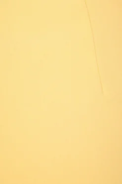 Skirts & Skorts | Skirts-Dynamite Nina Pleated Mini Skort Yellow