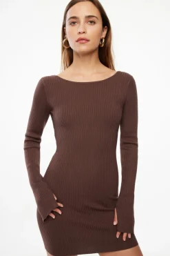 Dresses & Jumpsuits | Mini Dresses-Dynamite Open Back Long Sleeve Mini Dress Brown