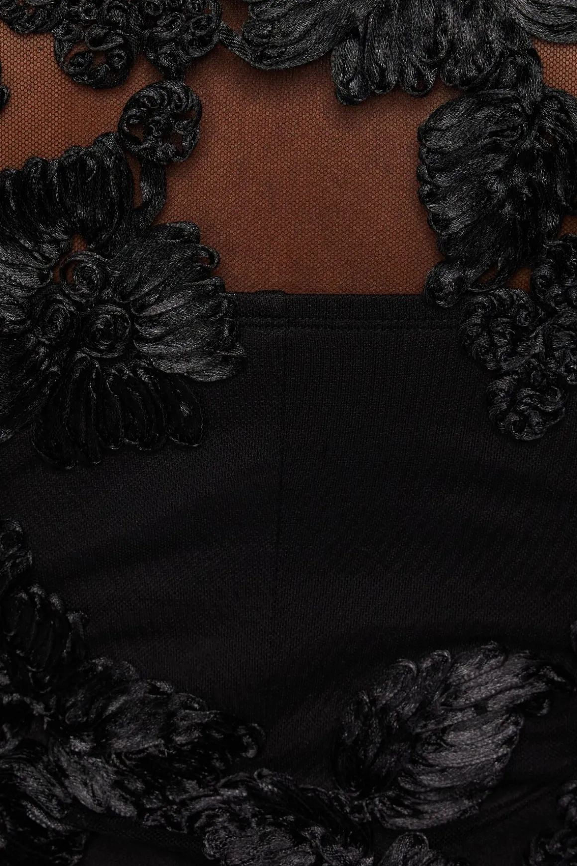 Dresses & Jumpsuits | Mini Dresses-Dynamite Sheer Floral Appliqué Mini Dress Black