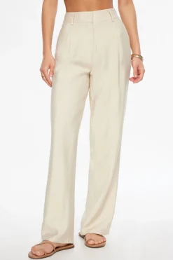 Pants | Wide Leg Pants-Dynamite Sofia Crinkled Pleated Straight Leg Pants Brown